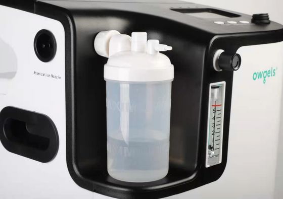 Soins de santé concentrateur de l'oxygène de 5 litres 220v 110v avec Nebulization