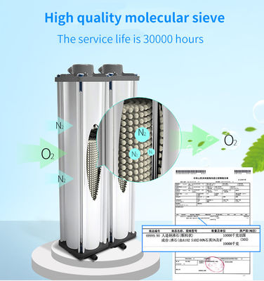 concentrateur portatif médical de l'oxygène 220V 5 litres par minute