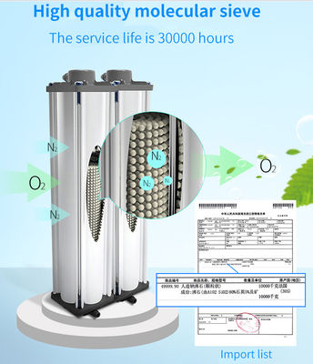 Pureté de 93% concentrateur mobile de l'oxygène d'utilisation à la maison de concentrateur de l'oxygène de 5 litres