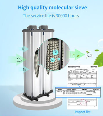 OEM d'ODM écologique du concentrateur 5L de l'oxygène d'hôpital avec le mobile de nébuliseur