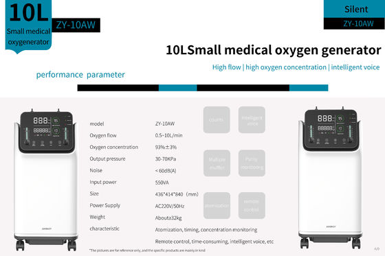 Double concentrateur médical de l'oxygène de l'écoulement 10lmp 10 litres