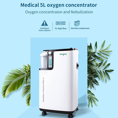 Catégorie médicale de 96% de la grande pureté 5L de concentrateur portatif à faible bruit de l'oxygène