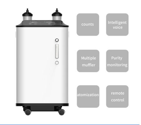 La bonne marque 10L à la maison emploient le concentrateur médical de l'oxygène à vendre