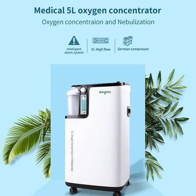 FDA médical à faible bruit atomiseur de concentrateur de l'oxygène de 5 litres