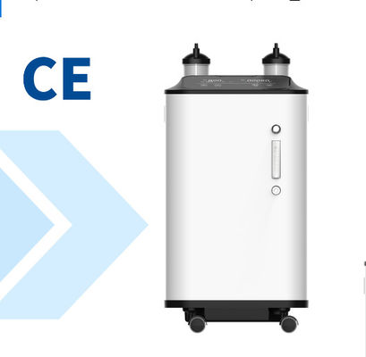 La concentration de 96% menée montrent le concentrateur de l'oxygène de maison de la CE 10 litres