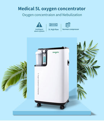 concentrateur portatif médical de l'oxygène 220V 5 litres par minute